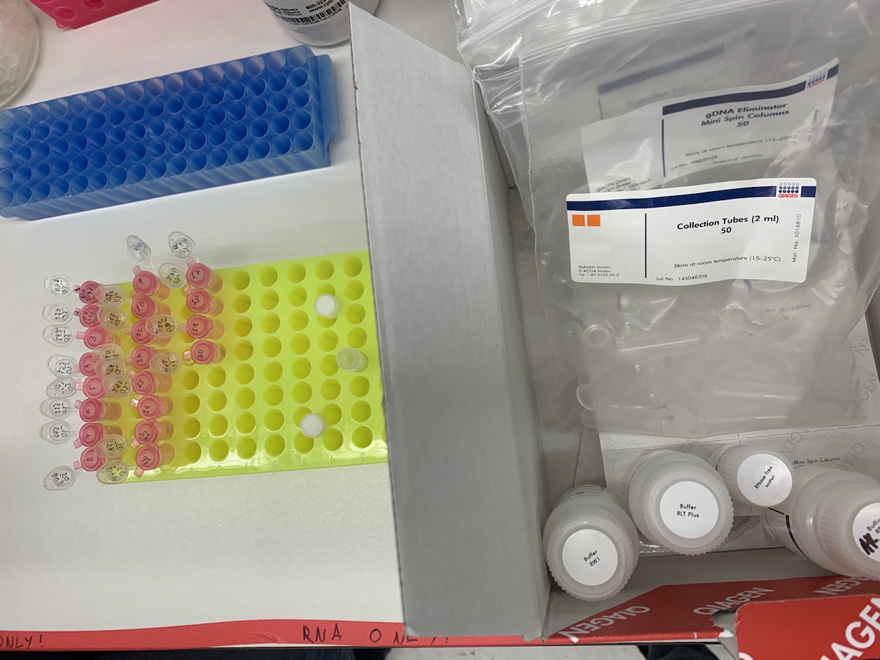 RNeasy Plus Mini Kit Works Well Kit/Reagent Review